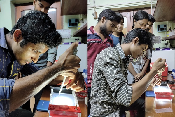 Loading of DNA in Agarose gel by students
